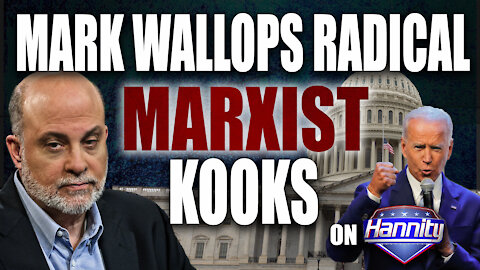 Levin Wallops Radical Marxist Kooks