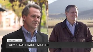 Why Senate races matter