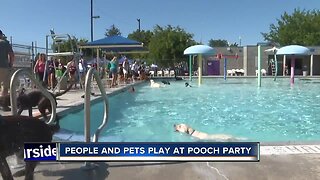 12th Annual "Pooch Party" takes over Lakeview Park