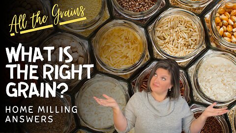 Which Grain is Right for My Recipe? | Know Which Grain Goes With What