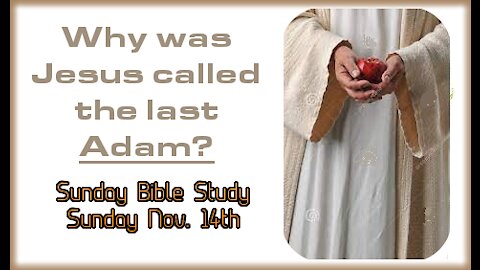 Why Jesus is the second/last Adam - Understanding the Gospel - Bible Study - Part 1