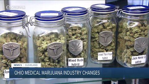 Medical marijuana businesses say Ohio's system needs to grow to meet demand, the state says 'not now'