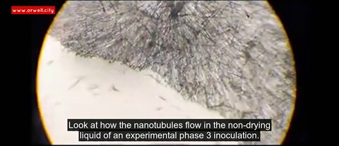 Dr. Marcelo Dignani shows graphene oxide microtubules seen under optical microscopy