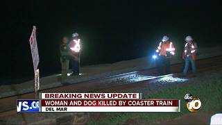 Woman and dog killed by Coaster Train