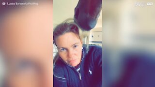 Senhora deixa cavalo arranjar-lhe o cabelo
