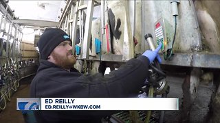 WNY dairy farmers are still in crisis