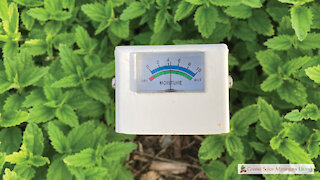Using a Moisture Meter in Your Garden