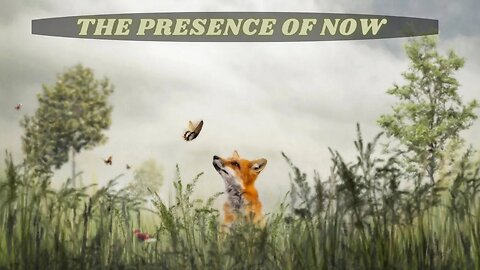 THE PRESENCE OF NOW ~ Equinox Preparation ~ TWIN FLAMES UPDATE ~ Lyra Sun's DNA Upgrades!