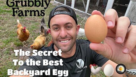 Unlock the SECRET to the WORLD'S Best Backyard Eggs - Grubbly Farms!