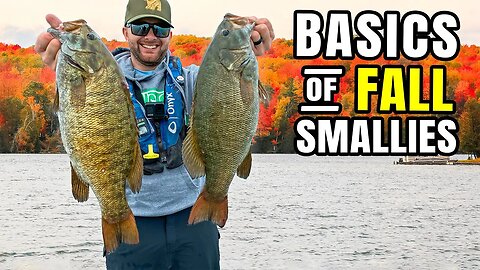 The BASICS of Fall Smallmouth Fishing