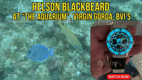 SCUBA Diving "The Aquarium" Virgin Gorda, BVI's with a Helson Blackbeard Dive Watch