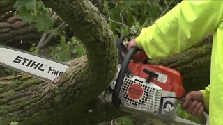 Cleanup begins following Tuesday night's storms