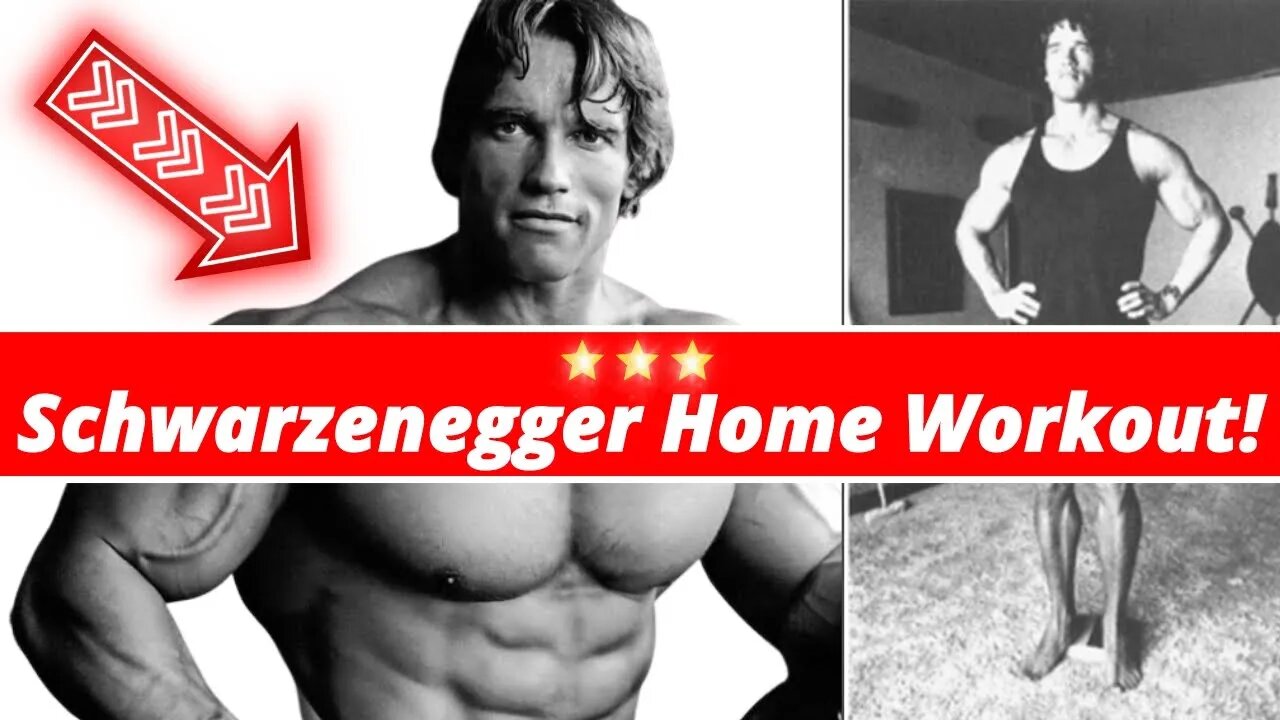 Arnold Schwarzenegger How To Workout