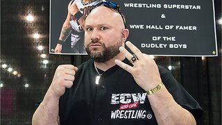 Bully Ray Calls Out Ring Of Honor Fan On Twitter