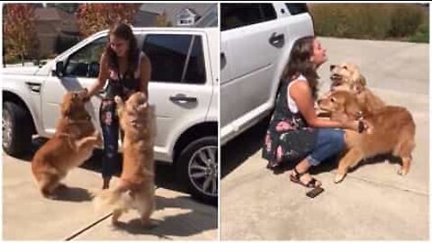 Dogs get super excited to see their owner again