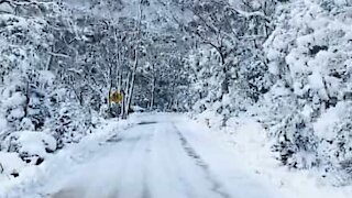 Driving through a snowy mountain in Tasmania