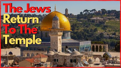 Jews Return to the Temple Mount