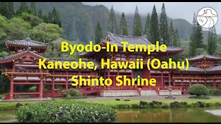 Commitment to Audio - Shinto Shrine