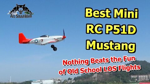 Best Mini RC P51D Mustang - Eachine Mini RC P51 Mustang electric RC Airplane