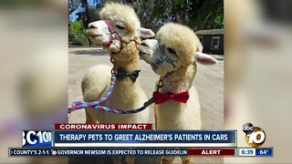 Therapy pets to greet Alzheimer's patients in cars