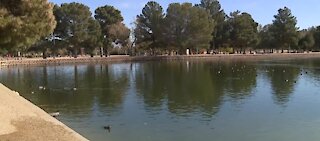 What's lurking in the lake at Sunset Park in las Vegas?