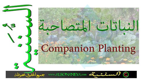 النباتات المتصاحبة Companion plants | الحياة السننية