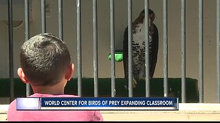 World Center for Birds of Prey plans expansion