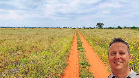 Besproeiing en wild plaas Swartwater Limpopo