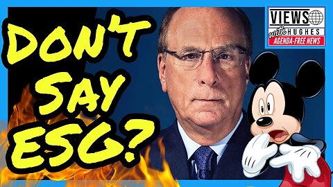 BlackRock CEO 'EXPOSED' ESG - Why LARRY FINK Don't Say 'ESG' Anymore! (SHOCKING CONFESSION) #disney