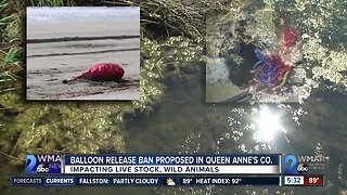 Balloon release ban proposed in Queen Anne's County