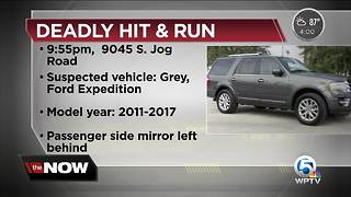 Deputies search for driver in deadly hit and run on S. Jog Road