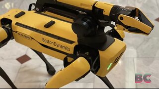 Boston Dynamics Pushes Lawmakers To Ban Weaponization Of Robots