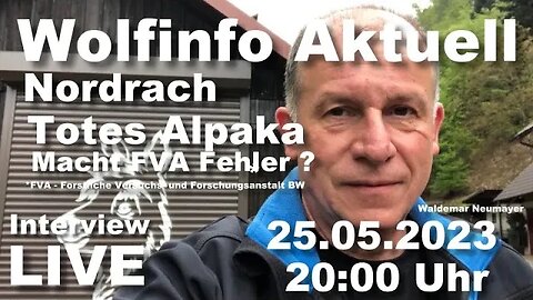 Wolfinfo Aktuell Interview LIVE ( Totes Alpaka. Ist *FVA professionell ? )