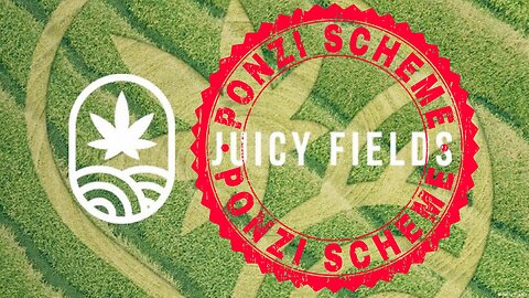 Juicy Fields – The Spanish Weed Ponzi Scheme