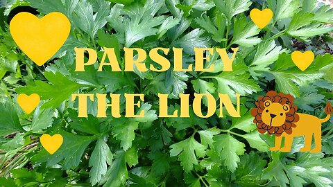 Parsley - The Lion