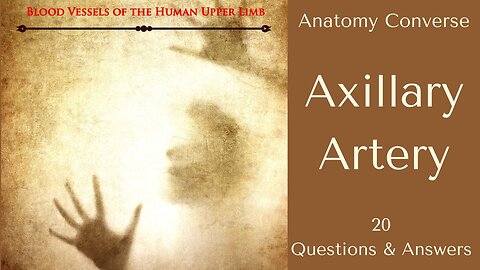 Axillary Artery Anatomy Flashcards | 20 Questions and Answers