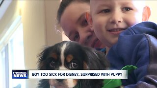 Boy too sick for Disney, surprised with puppy