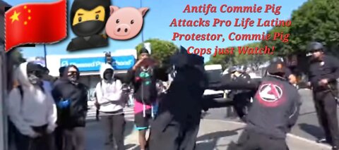 🇨🇳🥷🐷 Antifa Commie Pig Attacks Pro Life Latino protestor, Commie Cops just Watch!