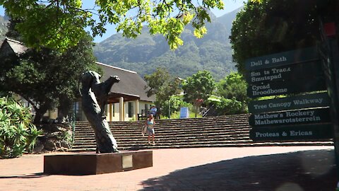 SOUTH AFRICA - Cape Town - Kirstenbosch National Botanical Garden (Video) (6sh)