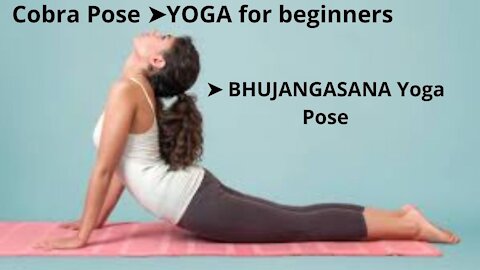 Cobra Pose || YOGA for beginners ➤ BHUJANGASANA Yoga Pose