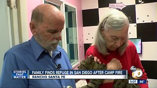 Pets from Camp Fire find refuge at Helen Woodward Animal Center