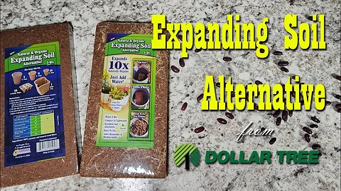 Expanding Soil Alternative from Dollar Tree & Planting Bunching Onion Seeds