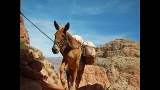 CAUTION! 6 most dangerous hikes in Arizona - ABC15 Digital