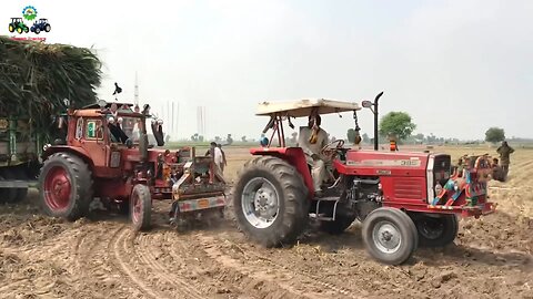 Top Tractors Performance Video Belarus and Massey Ferguson Pull Trailer