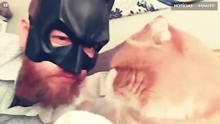 Divórcio à vista? Batman e Mulher-Gato discutem o fim da sua relação