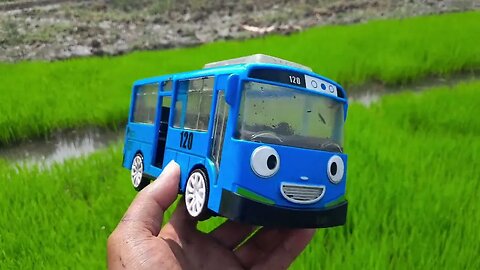 Mencari dan Menemukan Mainan Bus Tayo, Lani, Gani dan Rogi Yang Terendam Lumpur di Penyemaian Padi