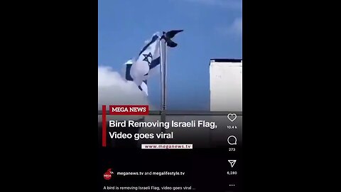 A bird is removing Israeli flag