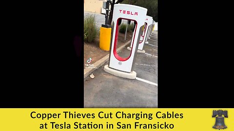 Copper Thieves Cut Charging Cables at Tesla Station in San Fransicko