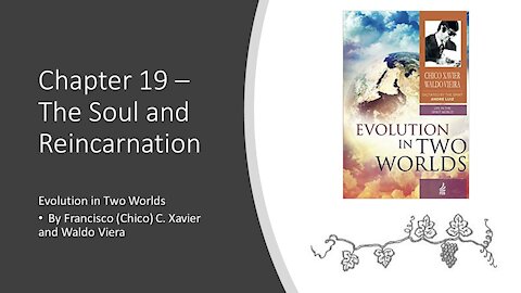 Evolution in Two Worlds – Chapter 19 – The Soul and Reincarnation