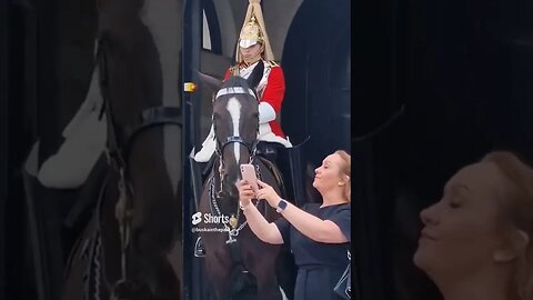 Guards and tourist's kissing the horsev#horseguardsparade